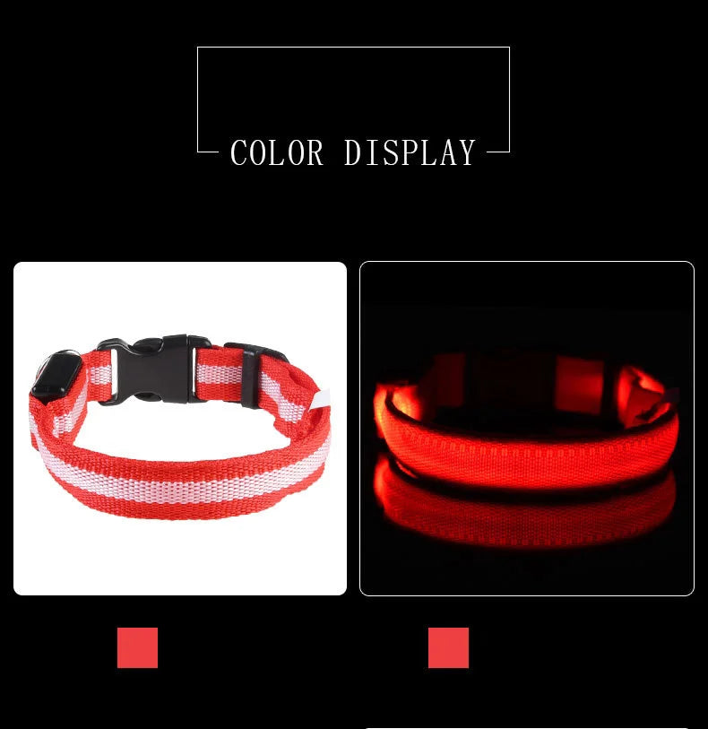 Luminous Fluorescent Pet Dog Collar - Petunia Woof